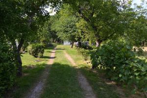 Villas Chalet de Cornalis : photos des chambres