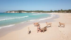 Eco Camping Playa Macao "Coopers Ranch"