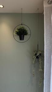 Aelia seaside apartment oropos