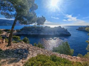 Maisons de vacances Studio climatise-terrasse-Netflix-jardin a 10 min de Cassis : Maison 1 Chambre