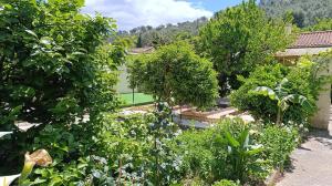 Maisons de vacances Studio climatise-terrasse-Netflix-jardin a 10 min de Cassis : photos des chambres