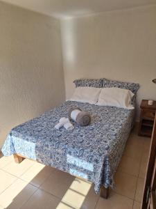 Habitación independiente 5o piso