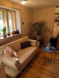 Holidayapartement Sentjur 2 pers