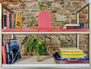 Small loft at Casa Neuman, Casco Antiguo