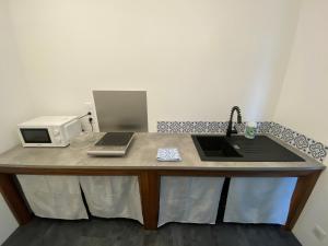 Appartements maison centre ville avec jardin partage : Appartement 1 Chambre