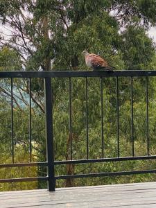 11 Woodridge Forest Estate