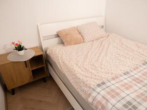 Apartament Vikicentrum