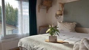 Casa Balmaceda Backpackers