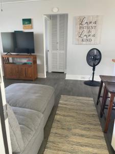 Beautiful Ocean View Downtown Getaway