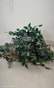 Modern 2Bedroom Apartment near the Beach