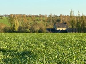 Appartements Bel appartement avec jardin a la campagne : photos des chambres