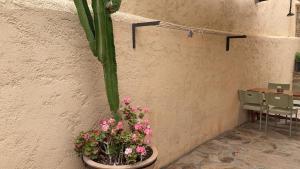 Studio Apartment with kitchenette for 4 guests Ios Greece