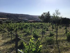 Pervolaris Cottages 2