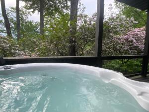 Amazing Mountain Views with Private Hot Tub!