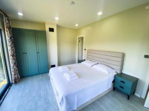 Küre Dağları Manzaralı Şömineli ve Bahçeli Villa