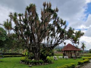 chez Yannick hospedaje los amigos