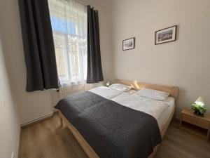 Prague Deluxe City Center Apartment