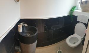 Villas L-Echappee de Fille 10 min from the 24 Hours of Le Mans : photos des chambres