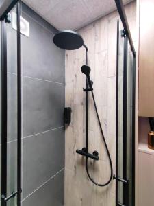 Green Orchid appartment