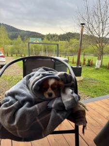 Family House Volosianka