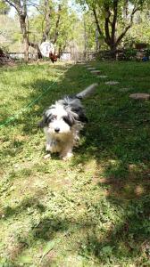 KALE-İBALA PALAM OTEL Cafe