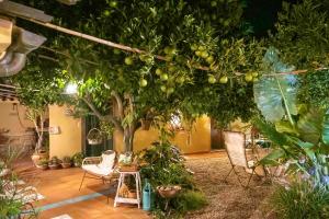 L'AGRUMETO SEGRETO img40