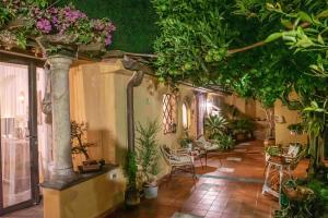 L'AGRUMETO SEGRETO img39
