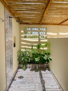 Cabaña Privada con Jacuzzi en la Hacienda Nápoles