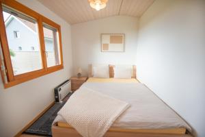 Chalet vue Alpes et lac