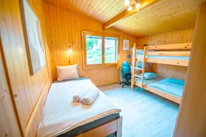 Chalet vue Alpes et lac