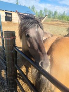 Bass Farm Lake View Loft Cabin