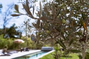 Villas Villa de Charme avec Piscine Calme & Elegance : photos des chambres