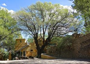 Maisons de vacances Le Quinquerlet : photos des chambres