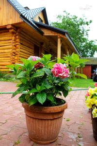 Dom na wyłączność - Ranczo Nowosiółki - Kresowe Klimaty