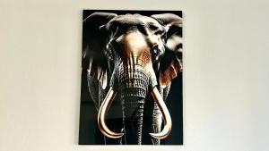 Appartements T3 Cosy Coeur Aix Les Bains avec 2 Balcons : photos des chambres