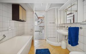 Elbferienhaus Altlaubegast