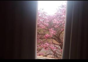 Loft ( sem paredes) coração de Brasília