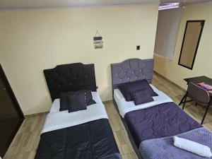 Apartasuite Movistar Campin
