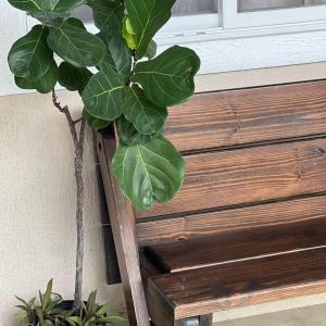 Casa entera a minutos del mar en Playa Coronado