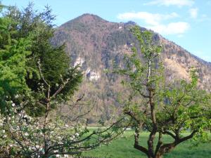 Ferienwohnung Buchner | Chiemgau Karte