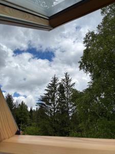 Alexandro Apartmani Zlatibor