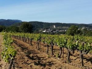 Maisons de vacances Holiday Home in France with Private Pool : photos des chambres