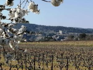 Maisons de vacances Holiday Home in France with Private Pool : photos des chambres