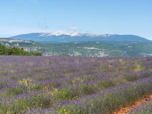 Maisons de vacances Holiday Home in France with Private Pool : photos des chambres