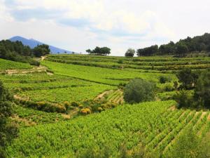 Maisons de vacances Villa in Vaison near Roman Ruins & Pool : photos des chambres