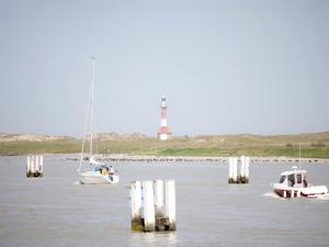 Studio in Nieuwpoort near Sandy Beaches