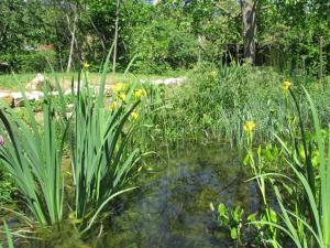 Maisons de vacances Ecologis du Vignoble : photos des chambres