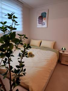 Sweet Dream House #A Quiet Rest That Warmly Embraces You Even on Unfamiliar Nights