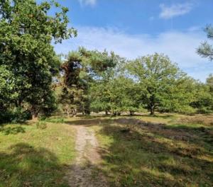 Nette chalet nabij het bos