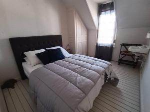 Villas Villa spacieuse au Touquet, animaux admis, parking - FR-1-821-36 : photos des chambres